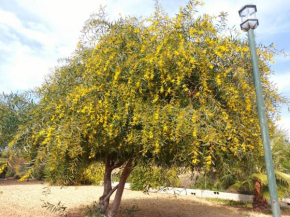 Andalusian farmhouse with barbecue, pool and wifi, Malaga